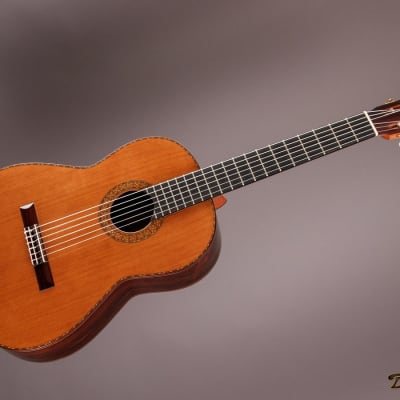 1995 Paris Banchetti Concert Classical, Brazilian Rosewood/Cedar image 7