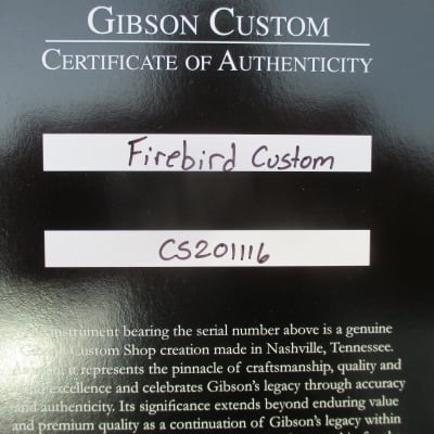 Gibson Firebird Custom in Ebony 2022 image 10