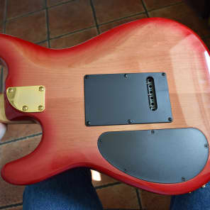 Kiesel GH24 Greg Howe signature guitar, 2017 , Beautiful high spec guitar.  USA made image 11