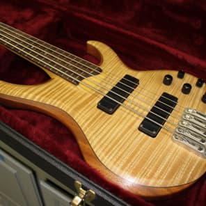 Ibanez btb1005e sales