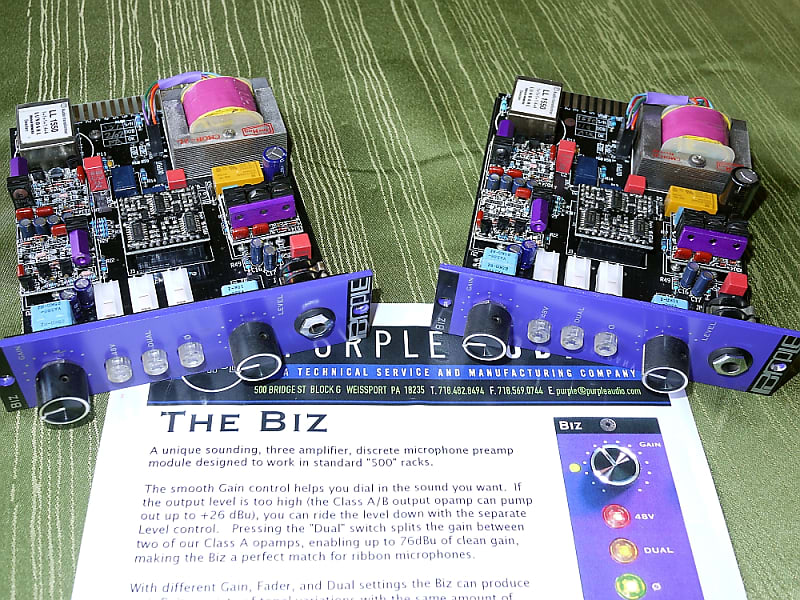 Pair of Purple Audio Biz 500 Series Mic Preamp Modules Reverb