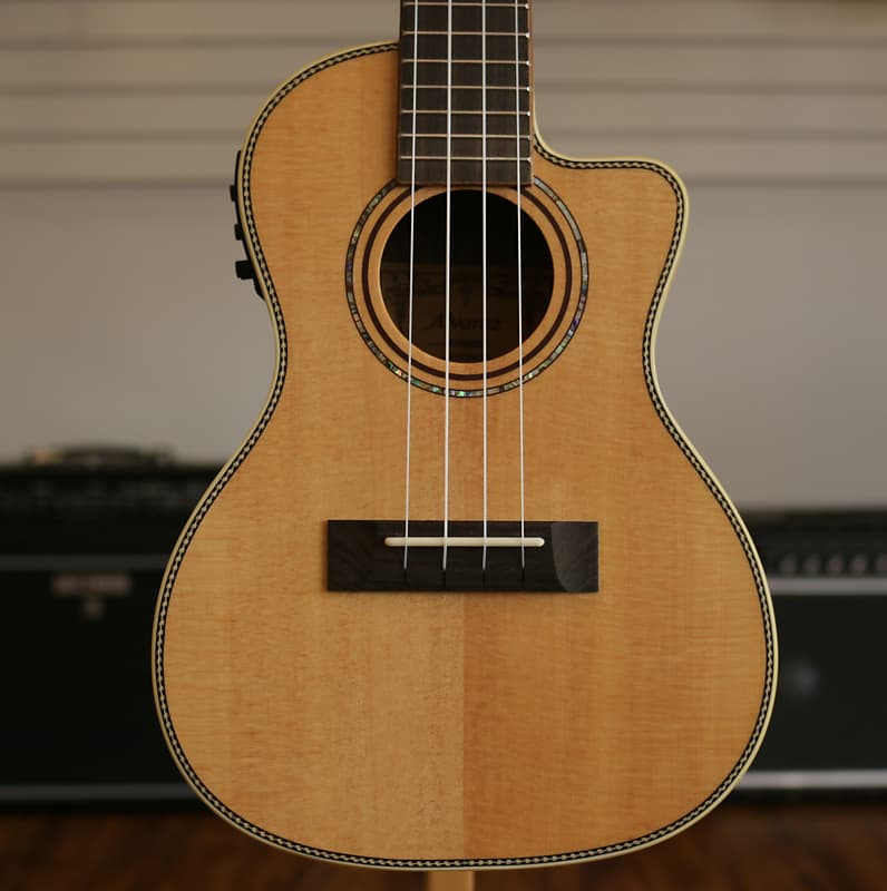 Alvarez au70wc shop