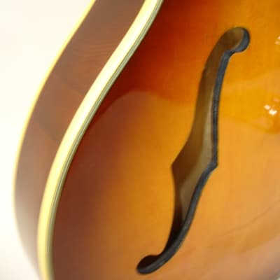 Jay Turser 335-Style Semi-Hollow Electric Guitar, Sunburst image 6