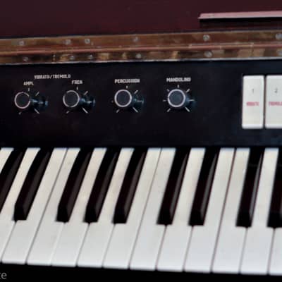 RMIF Miki 60s Rare Vintage Analog Organ Synth Keyboard Soviet USSR Russian image 9