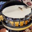 Gold Tone GT-500 Banjitar 6 string banjo with hard case - Mint
