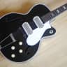 1955 Silvertone Espanada S1384 by Harmony Vintage Archtop Guitar Harmometal H63 Gibson P-13 Pickups!