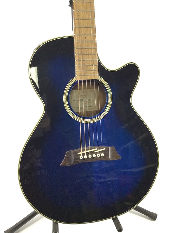 Takamine g deals series eg560c