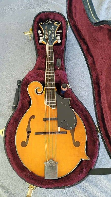 Epiphone MM-50E Professional Mandolin | Reverb Canada
