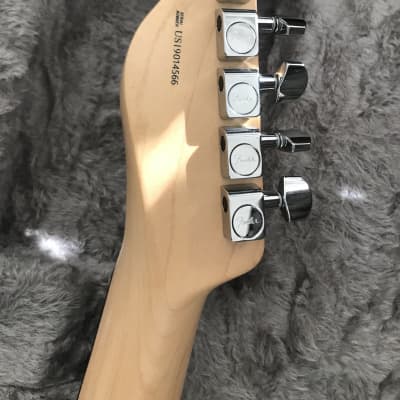 2019 Fender American Pro Telecaster LTD Lightweight Honey  Blonde Rosewood image 11