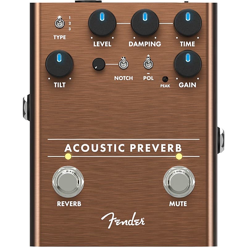 Fender Acoustic Preverb image 1