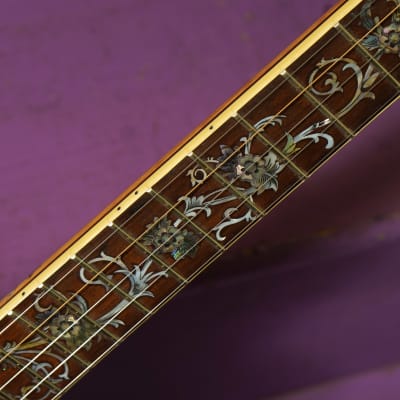 1920s/2000s Vintage/Antonio Tsai Fancy 5-String Openback Banjo image 5