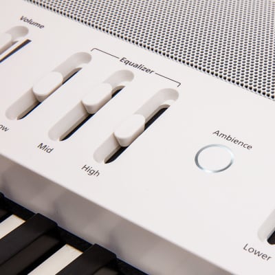 Roland FP-60X Digital Piano - White