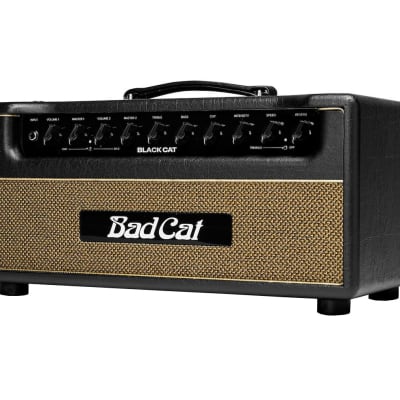 Bad Cat Cougar 50 | Reverb