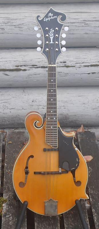 Epiphone MM-50E Professional Mandolin | Reverb Canada