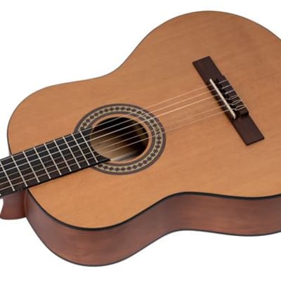 Ortega RSTC5M Nylon String Acoustic Guitar Cedar image 6