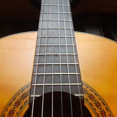 Vintage Ventura V-1584 Classical Nylon String Guitar, Gig Bag, Tuner, Picks image 23