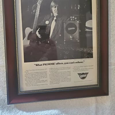 1973 Pignose Amps Promotional Ad Framed Terry Kath Chicago Original RARE for sale