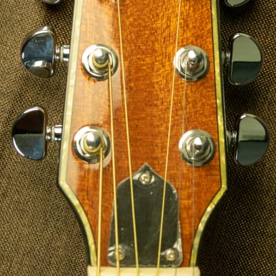 Boulder Creek Solitaire ECR1-N solid wood electric/acoustic guitar image 10