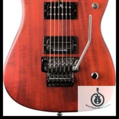 Washburn N24PSVINTAGEK Nuno Bettencourt Signature Series Electric Guitar, Padauk Vintage Stain for sale