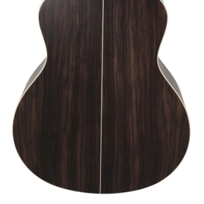 Taylor Builders Edition 816CE V-Class Grand Symphony Acoustic Electric image 3