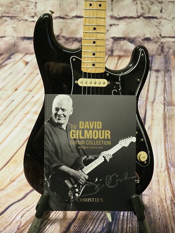 Fender Stratocaster with David Gilmour Signature and Reverb