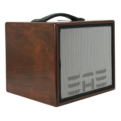 Elite Acoustics EAE A1-8 Acoustic Guitar/3 Chan Amplifier with LFP Battery WOOD image 3