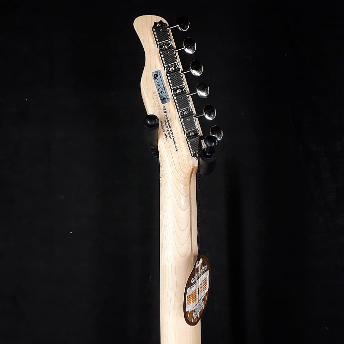 Fujigen FGN Telecaster Japan Boundary Iliad SB | Reverb