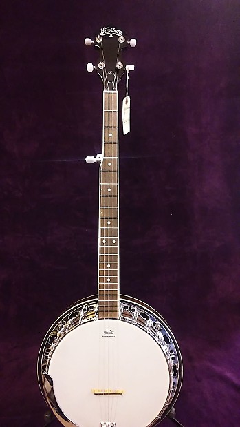 Washburn cheap b11 banjo