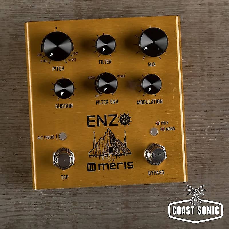 Meris Enzo