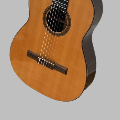 Martin N-20WN Willie Nelson Signature Edition 1998 image 4