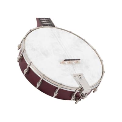 Recording King Dirty 30's Open Back Banjo image 4