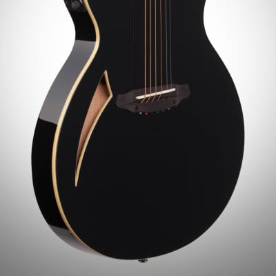 ESP LTD TL-6 Thinline 6 Acoustic-Electric Guitar, Black image 3