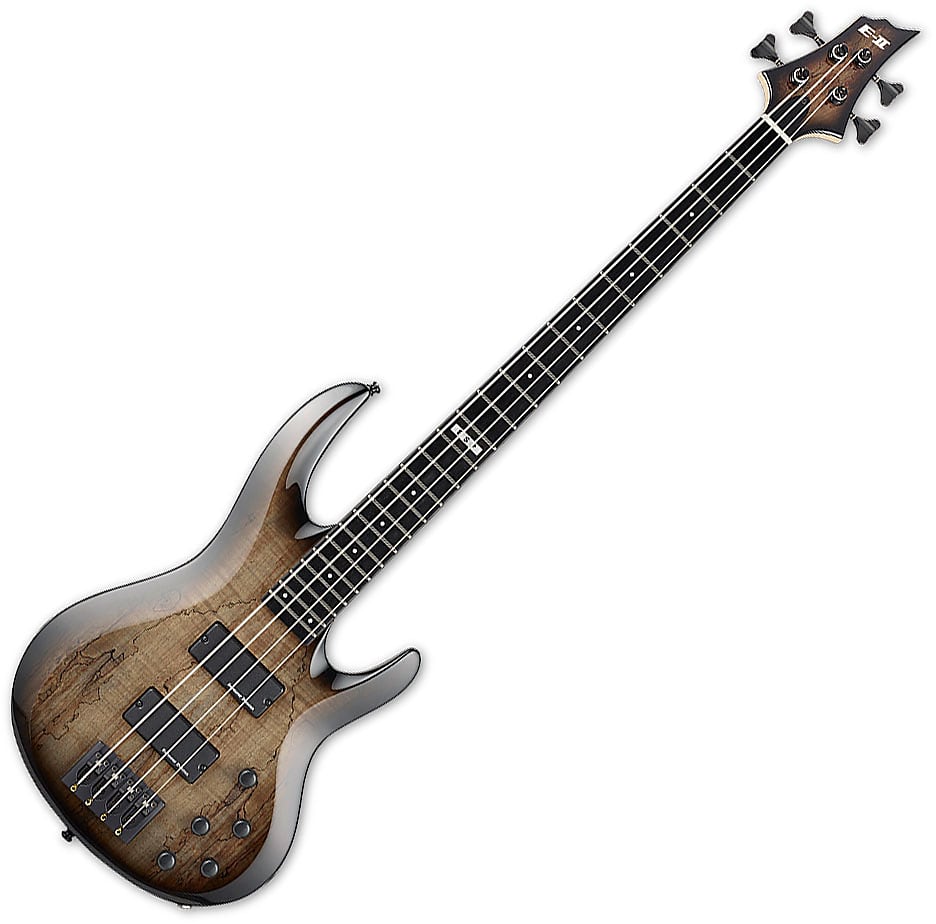 ESP E-II BTL-4 | Reverb