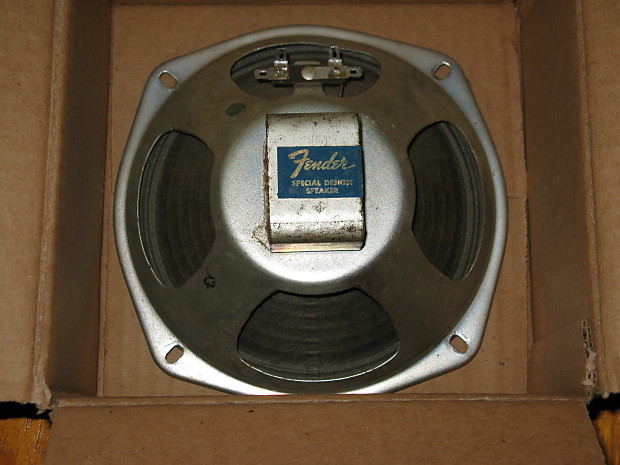Fender deals champ speaker
