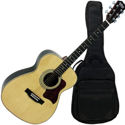 Storm F80GN-BAG acoustic guitar for sale