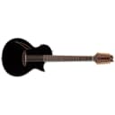 ESP LTD TL-12 12-String Black BLK Thinline Acoustic Electric Guitar  TL12