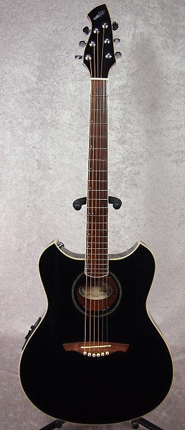 Wechter pathmaker acoustic new arrivals