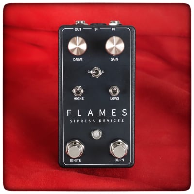 BJFE Flame top | Reverb