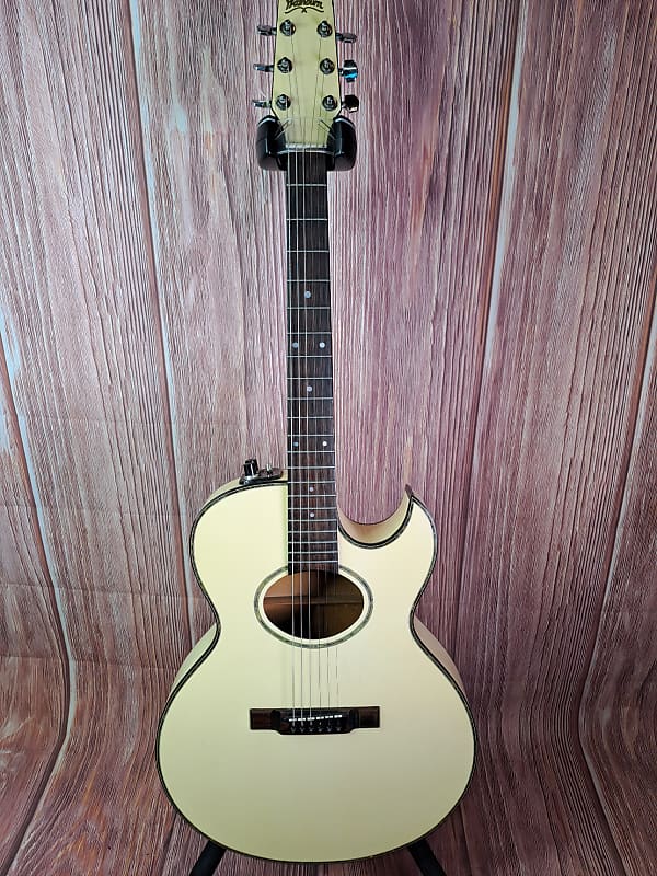 Washburn EA20 White Reverb