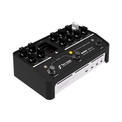 Two Notes Audio Engineering ReVolt Bass Analog Amp Sim Effects Pedal image 3