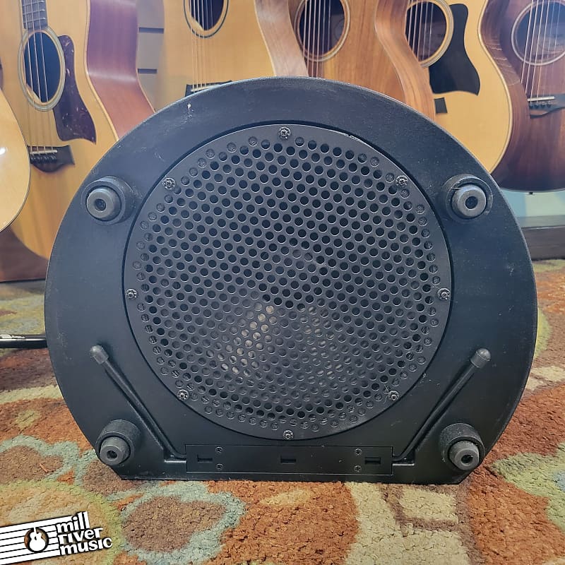 Acoustic Image Contra Series 4 Combo Amp Used | Reverb UK