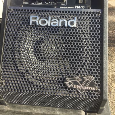 Roland PM-10 30-Watt 2x10