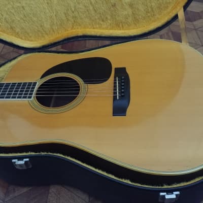 Rider R-250 Custom Guitar for sale