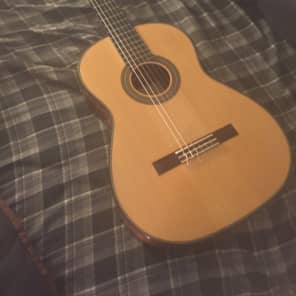 Gernot Wagner Spruce 1998 Reverb