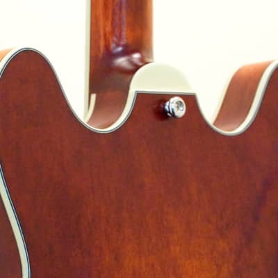Eastman Electric Archtop T64 Truetone Vintage Gloss Classic Finish image 9