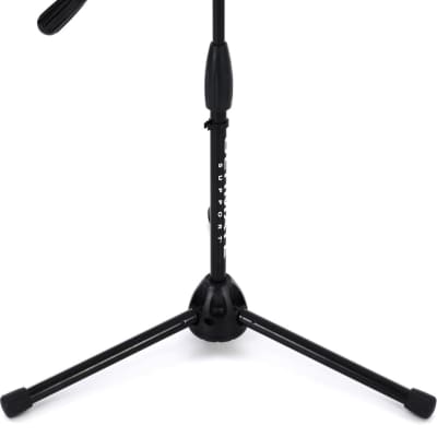 Ultimate Support Microphone Stand, Black (PRO-RTT)