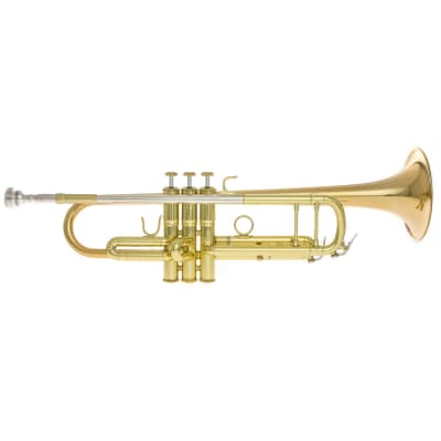 Magenta Winds Bb Trumpet - TP 2G for sale