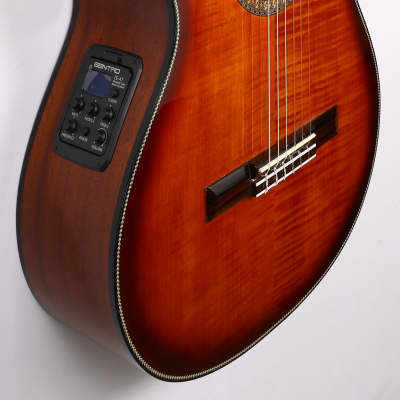 Agile Renaissance 6 String Fretless 625 Classical EQ CUT TigerE Classical Acoustic / Electric Guitar image 5