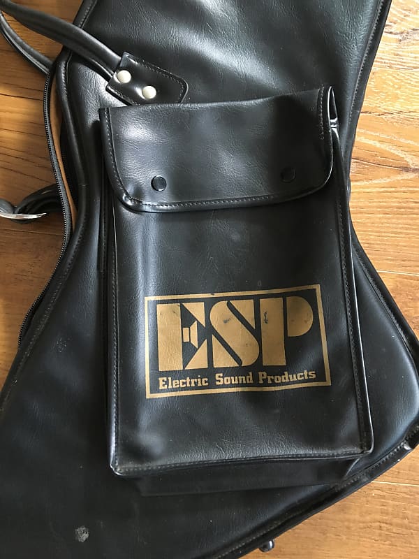 ESP Mx-220 Explorer Leather Guitar Gig Bag Metallica James Hetfield Mx220  Mx250 Gigbag