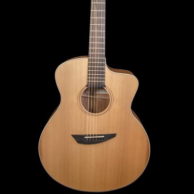 Ibanez PA230E Acoustic/Electric Guitar 2021 Natural Satin w/ Gig Bag image 2